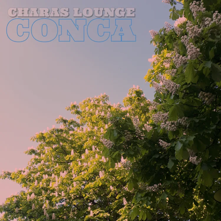 Charas Lounge cover artwork 1