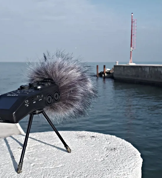 Field recording session in nature – Charas Lounge